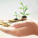 The Main Difference Between Savings and Investment
