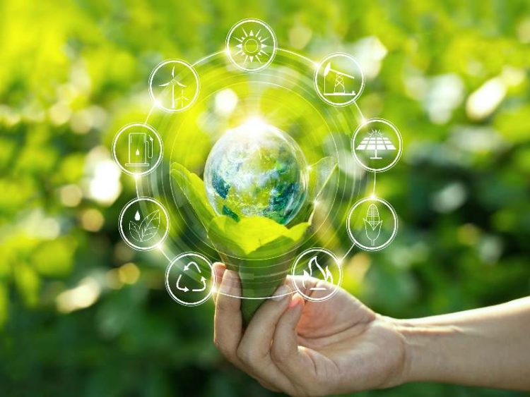 Sustainability: The “New” Force for Business Resilience in a Crisis