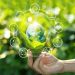 Sustainability: The “New” Force for Business Resilience in a Crisis